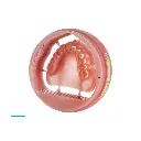 Base_02.webp
