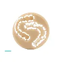 BioniCut_02.webp