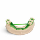 Asiga DentaCAST